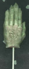 Creepy Hand.jpg (15093 bytes)