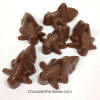 Chocolate Crickets