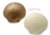Giant Chocolate Scallop Shell