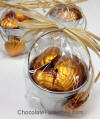 Chocolate Orange Sea Shell Favors