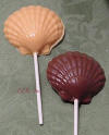 Scallop Lollipop Chocolate