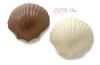 Chocolate Scallop Shell