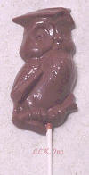 Wise Owl Graduation Chocolate