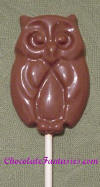 Chocolate Owl