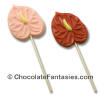 Chocolate Anthurim lollipop tropical flower chocolates hawaiian