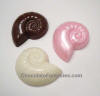 Chocolate Moonsnail shell