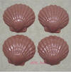 Milk Chocolate Sea Shell Scallops