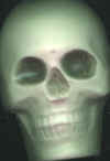 skull.jpg (10959 bytes)