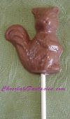 Chocolate Squirrel