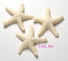 White Chocolate Star Fish