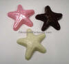 Chocoltae sea stars