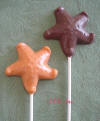Chocolate Starfish Lollipop